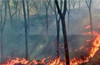 Fire breaks out in rubber plantation